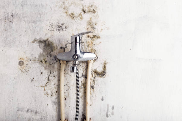 Best Residential Mold Removal  in Vilge St George, LA