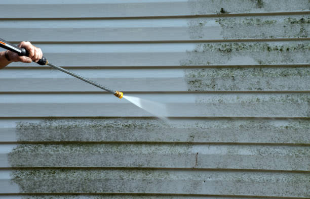 Best Black Mold Removal  in Vilge St George, LA